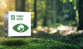 Sustainable Development 13 Climate Action in Moss Forrest Background 17 Global Goals Concept Cube Design