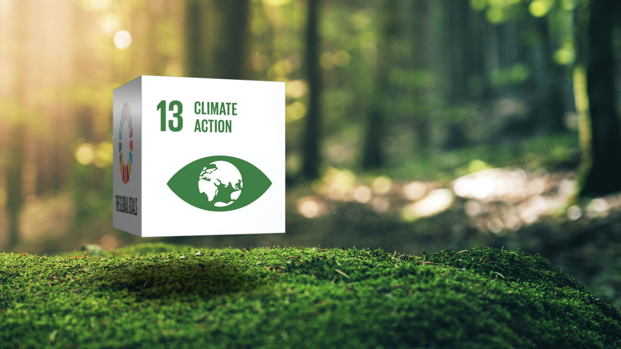 Nachhaltige Entwicklung 13 Klimaschutz in Moss Forrest Hintergrund 17 Global Goals Konzept Würfeldesign