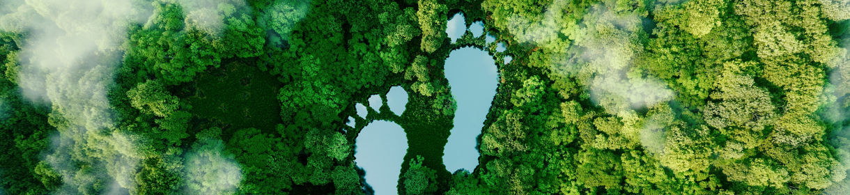 A lake in the shape of human footprints in the middle of a lush forest as a metaphor for the impact of human activity on the landscape and nature in general. 3d rendering.