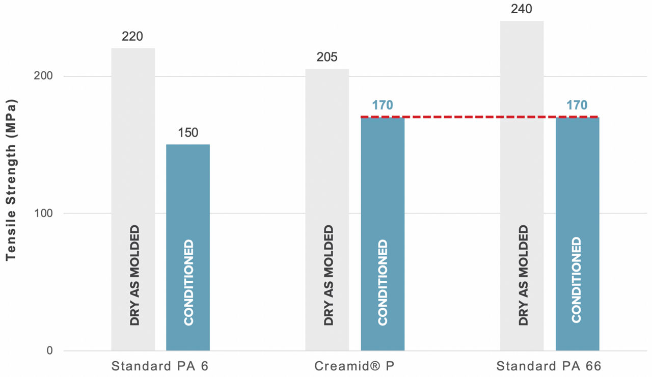 Creamid P graph