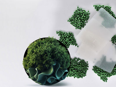 Sustainable Solutions PVC Feature