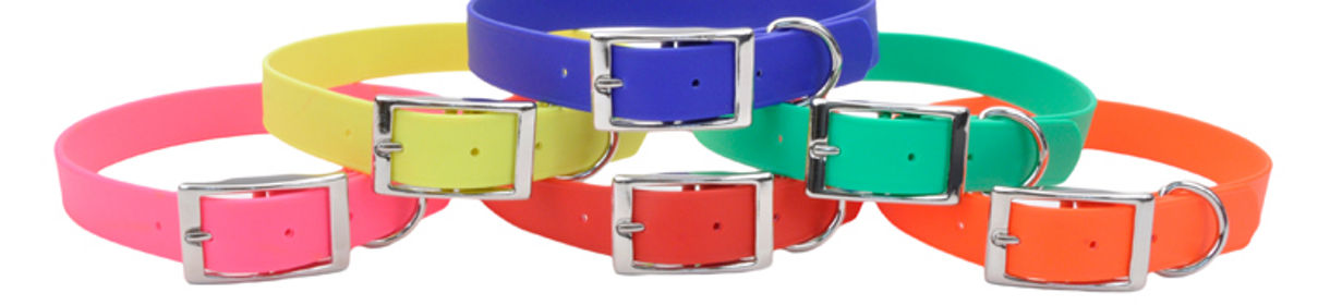 Dog collars