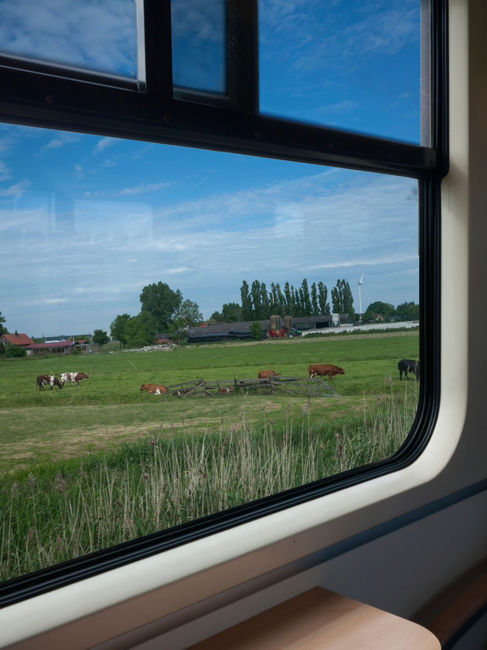 train window